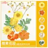 Paquete de Materiales DIY de Flores Secas Flores Prensadas Hechas a Mano Flores Conservadas Marcadores de Libros de Flores Prensadas Hojas de Árbol Real Plantas Pegatinas de Resina Maquillaje Facial