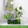 Hc-Bz3Grande Flores Artificiales y Plantas Verdes para Decoración de Paisajismo, Combinación de Paisaje Interior, Plantas Falsas Biónicas de Gama Alta