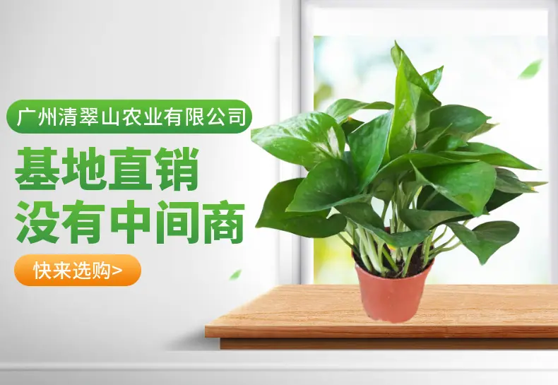 稿定设计-1.png