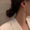 Brincos Únicos de Lantejoula com Franjas Longas, Novos Brincos Tendência Estilo Influenciador Coreano para Mulheres