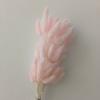 Rabo de coelho grama seca buquê de flores verdadeiras flores eternas grama dogtail colorido branco cor primária decoração para casa adereços de tiro