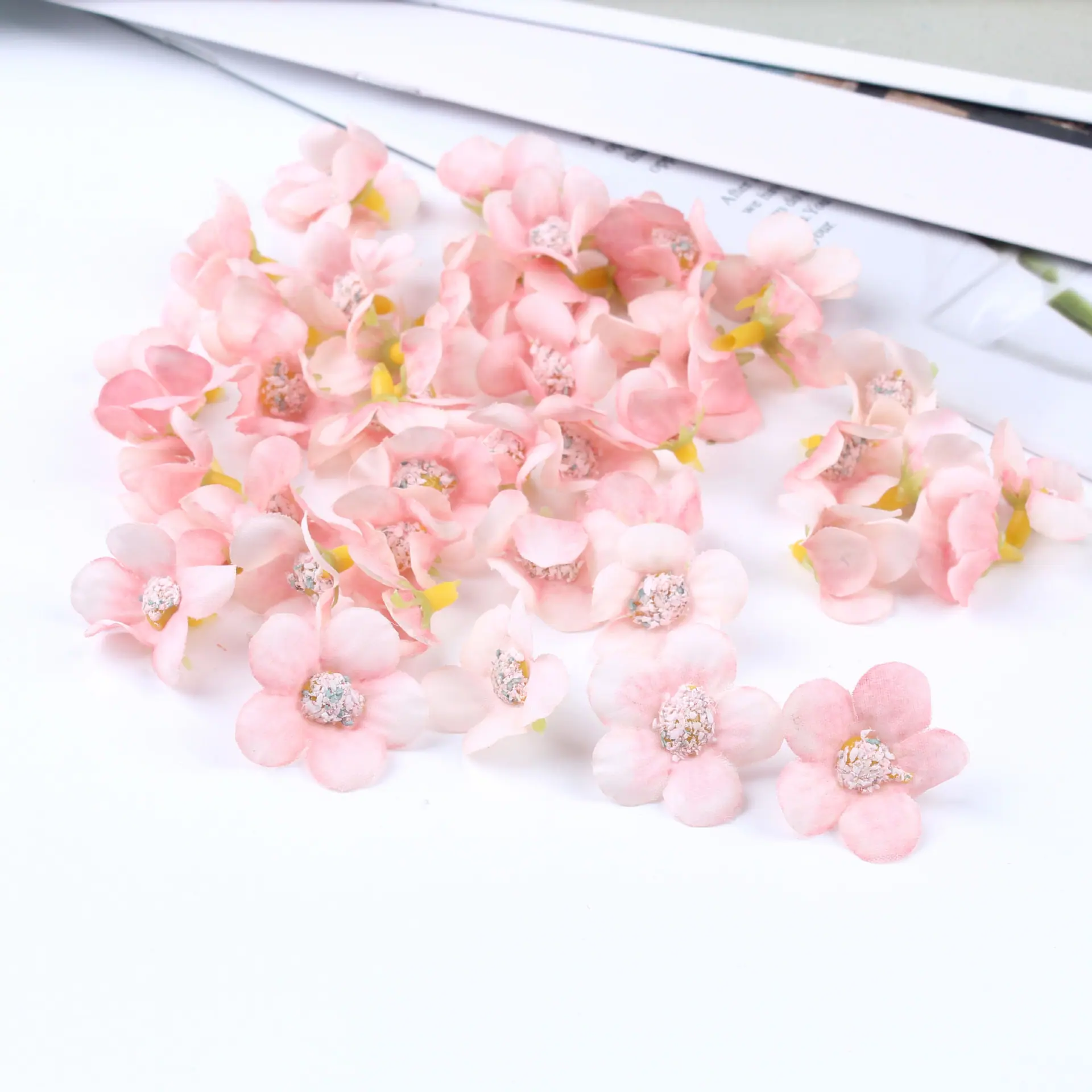 迷你小菊花25