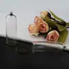 50X18Mm Tampa de Vidro Oca em Forma de Sino Conjunto de Tubos de Vidro Frasco de Vidro para Espécime de Borboleta Acessórios para Colar Feito à Mão DIY
