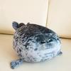 Peluche Transfronterizo Muñeca Grande Serie Océano Acuario Algodón Plumón Focas Hinchadas Muñeca de Juguete de Peluche