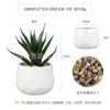 Mini suculenta de oficina personalizada en maceta simulación de planta de Amazon maceta cerámica forma de diamante suculenta creativa