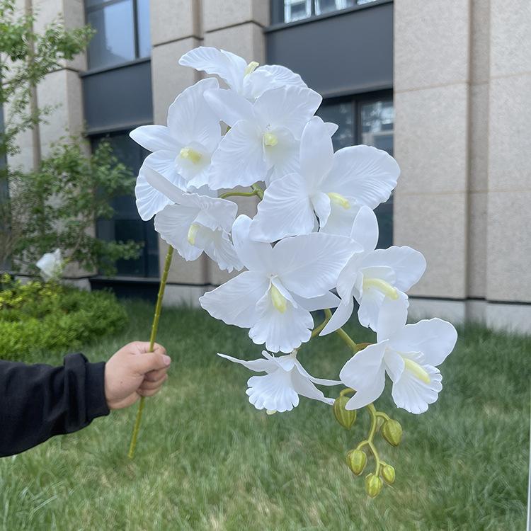 9头3D打印卡特兰-sxmjzx-白色.JPG