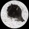 [Pandilla de Conejos] Bolitas de Papel Absorbente con Fragancia Natural Cunipic de España para Hámsters y Conejos, Lecho Desodorante