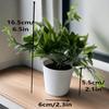Plantas verdes de simulación superventas transfronterizas, flores creativas en maceta multicolor, muebles para el hogar, decoración de flores de simulación, mini bonsái de generación