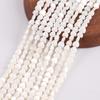 Lote directo de fábrica de concha de mariposa blanca perla de concha natural 3-6 mm cuentas de concha ropa china cuentas sueltas collar pulsera pasador joyería