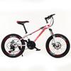 Fuente fabricantes de bicicletas de montaña para niños de 20 pulgadas y 24 pulgadas, freno de disco, absorción de impactos, velocidad variable, carreras para jóvenes hombres, una generación de cabello