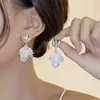 Presilhas de Orelha Estilo Coreano Sem Furo, Brincos com Design Estiloso para Mulheres, Presilhas de Osso da Orelha com Borboleta e Pérola de Franja Longa, Alto Padrão