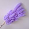 Fábrica de flores secas de cola de conejo de pelo liso de Kunming, venta al por mayor, flores secas de cola de perro, flor eterna, pequeño ramo, adornos para decoración del hogar