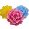 Paraguas de Flor de Peonía Accesorios de Baile Escenario Accesorios de Escenario Flor de Peonía Juegos Nocturnos Ceremonia de Apertura Flor de Mano