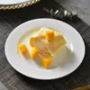 Prato Raso Ocidental de Porcelana Fina Cinco Estrelas para Casa, Prato de Bife, Prato para Pratos Frios, Prato para Doces, Prato para Café da Manhã, Base para Prato, Prato Raso de Cerâmica