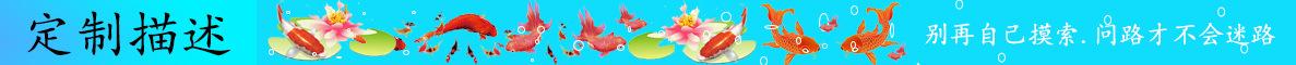 定制描述