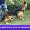 Collares y Correas Tácticas para Perros Transfronterizos Cuidadosamente Seleccionados para Perros Grandes, Correas de Nylon para Perros de Entrenamiento al Aire Libre, Collares para Mascotas