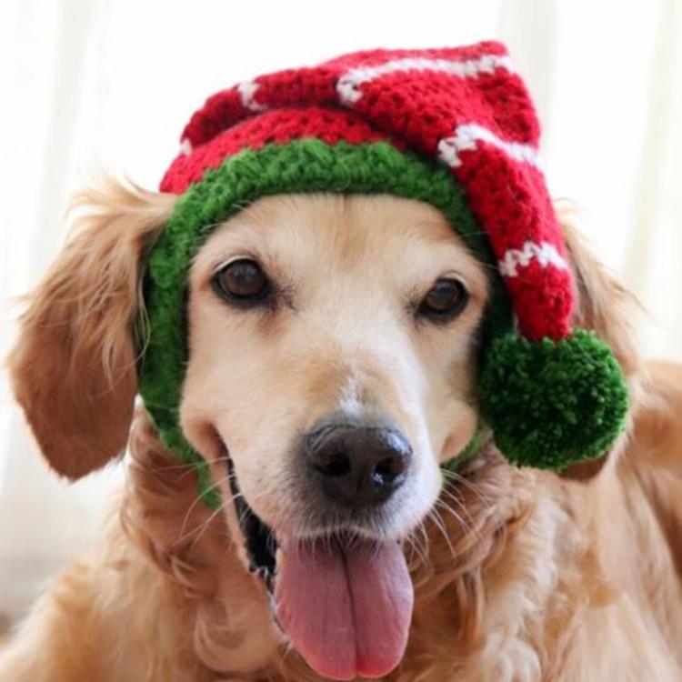 QQ图片20190924145140_副本