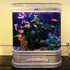 Fábrica de Origen Chuanghai Acuario, Acuario Ecológico Independiente de Doble Curva de Tamaño Mediano a Grande para Montar en la Pared para Sala de Estar, No Necesita Cambiar el Agua