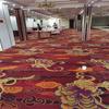Salones KTV de bares llenos de alfombras de jacquard habitaciones de hotel llenas de alfombra de aro de salón de belleza sala de atención médica