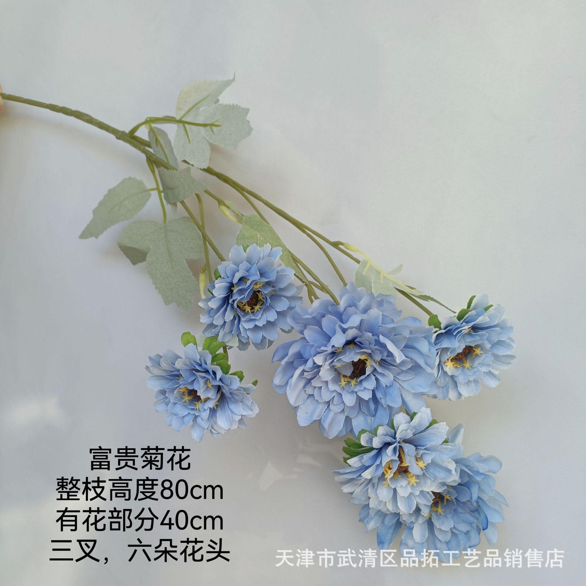 afc688550a9a7ea1c524d441801400