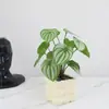 Maceta Creativa de Cerámica Simulación Tortuga Bambú Verde Hoja Rosa Planta Falsa en Maceta Bonsái Adornos de Plantas Verdes para Escritorio del Hogar
