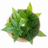Folhas Simuladas, Galhos da Sorte Simulados, Folhas Individuais, Folhas Artificiais, Decoração de Cesta de Flores de Jardim, Adereços para Fotografia