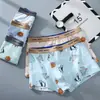 Roupa Íntima para Adolescentes Masculina de Algodão Puro Boxer para Crianças Maiores Alunos em Desenvolvimento do Ensino Fundamental Tamanho Grande Todo Algodão Shorts de Quatro Cantos Antibacteriano