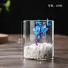Jarrón de vidrio recto con plantas hidropónicas, maceta creativa de vidrio de borosilicato alto, jarrón artístico con flores, botella con paisaje de musgo