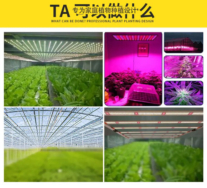 详情页_09.jpg