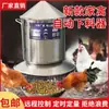 Alimentador Automático para Frangos, Máquina de Alimentação Programada para Criação de Frangos e Aves, Comedouro de Frango, Equipamento de Fazenda, Máquina de Alimentação Automática Remota