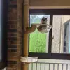 Modificación de Tubería de Drenaje de Balcón Bricolaje Accesorios para Estructura de Escalada para Gatos Plataforma para Saltar Árbol para Gatos Materiales para Tubería de Drenaje