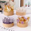 Luz de noche de cristal natural transfronteriza, racimo de dientes de amatista, creativa, interfaz USB, adornos de luz de noche de ambiente para mesita de noche