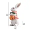Conejo de Pascua Pareja de Huevos Decoración de Resina Decoración Festiva Regalo Habitación Infantil Estudio Dormitorio Decoración Transfronterizo