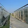 Proyecto de Invernadero con Panel Solar, Invernadero Aislado del Norte, Cultivo de Verduras y Flores, Construcción con Estructura de Acero, Invernadero Luyuan