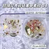 Materiales para Uñas con Concha de Color Caramelo de Ensueño, Diamante Triturado y Perla Mixta, Decoración de Uñas Postizas Estilo Súper Coreano