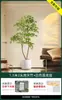 Planta Verde Artificial Nantianzhu, de Gama Alta y Lujo, de Pie, Grande para Interiores y Exteriores, Bonsái de Alta Calidad, Árbol Falso para la Sala de Estar