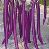 Plántulas de berenjena para cuatro estaciones, plantas en maceta con tierra, variedades viejas injertadas de berenjena morada y semillas de berenjena de Hangzhou, plántulas de hortalizas de primavera