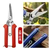 Tijeras para recolectar fruta de acero inoxidable al por mayor para fabricantes, tijeras para raleo de fruta, tijeras para uvas, tijeras para podar flores, tijeras para podar ramas y tijeras para recolectar fruta