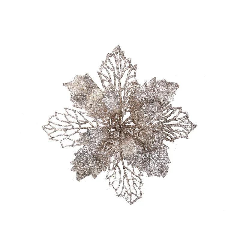 IMG_2519(20211027-125142)