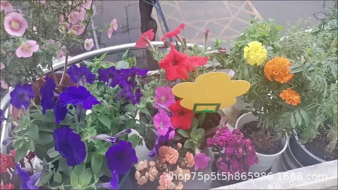 粘虫板支架15.jpg