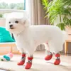 Suministro Exclusivo Transfronterizo de Nuevos Calcetines de Verano para Perros para Uso en Exteriores, Transpirables, Antideslizantes, Anticaídas, Adecuados para Perros Pequeños como Golden Retrievers y Perros Teddy