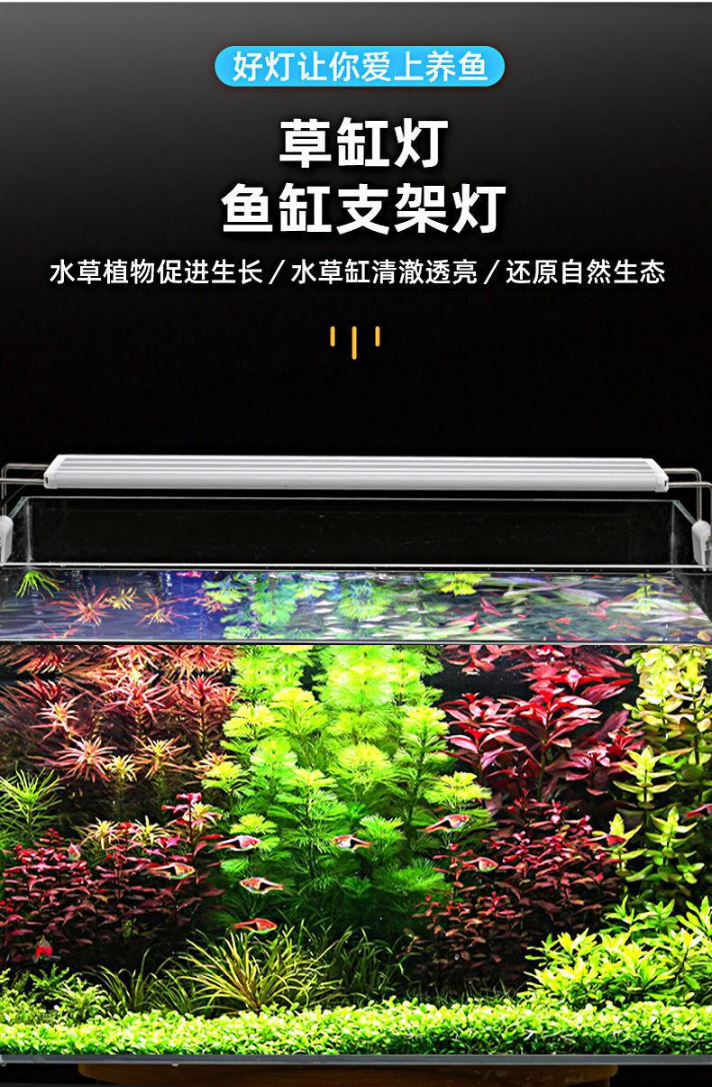 4d34a292-20fb-4732-804f-d3c642453a70.jpe