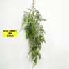 Planta Verde Colgante de Pared Enredadera Planta Verde Orquídea Colgante Helecho Persa Tubería de Pared Decoración de Techo