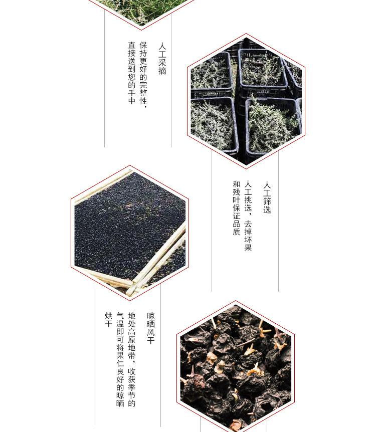 黑枸杞-阿里01-更新_12.jpg