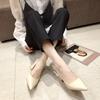 Zapatos de Punta Fina de Una Capa para Mujer Otoño 2020 Nuevos Zapatos de Mujer Bajos Moda Coreana Profesional Elegantes Tacón Grueso Negro Tacones Altos para Mujer