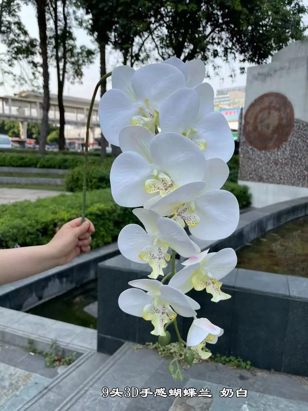 微信图片_20220612105921.jpg
