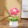 Planta de flor de pompón de ganchillo en maceta, flor de hilo tejido con maceta, producto terminado, pequeña decoración creativa para oficina y coche, suministro