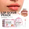 Eelhoe Exfoliante Labial Naranja Exfoliante Labial Suave e Hidratante para el Cuidado y Limpieza de los Labios y la Piel Circundante