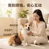 Pantalones Fisiológicos para Perros Macho, Anti-Acoso, Cómodos, Transpirables, Reutilizables, Ajustables, Anti-Orina