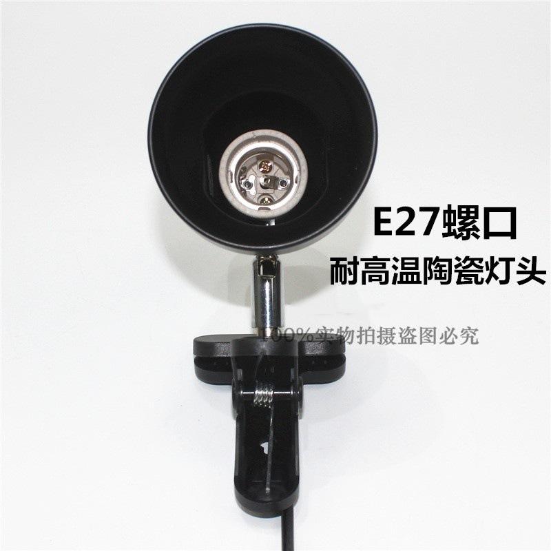 11402218674_1905942197